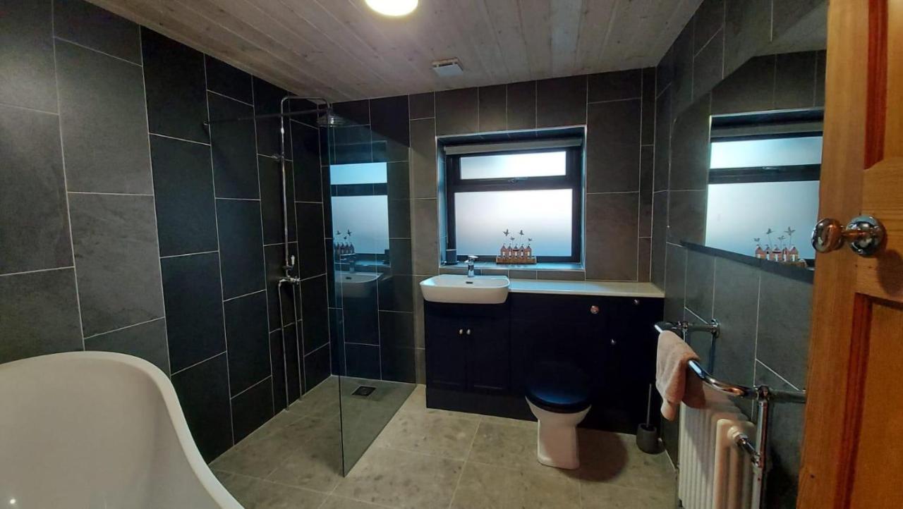 Villa No 1 Dolheulog Aberaeron Sa46 0Ep Extérieur photo